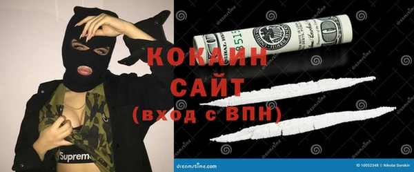 сатива Абаза
