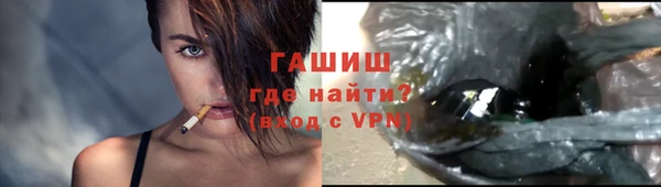 индика Грязовец