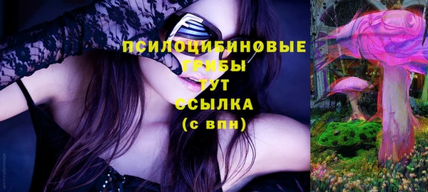 сатива Абаза