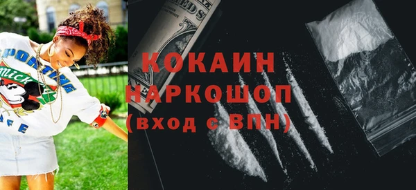 бошки Пересвет