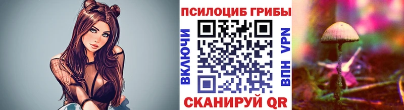 купить наркоту  Ялуторовск  мега ссылки  Псилоцибиновые грибы ЛСД 